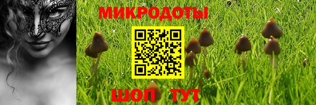 Галлюциногенные грибы GOLDEN TEACHER Учалы