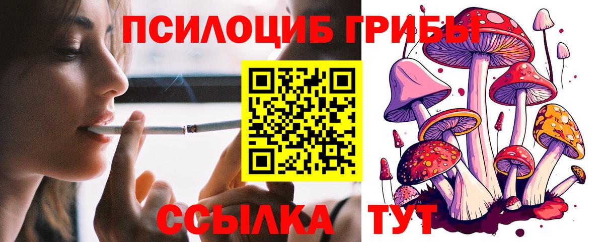 Учалы  Псилоцибиновые грибы мицелий  Вход с VPN 